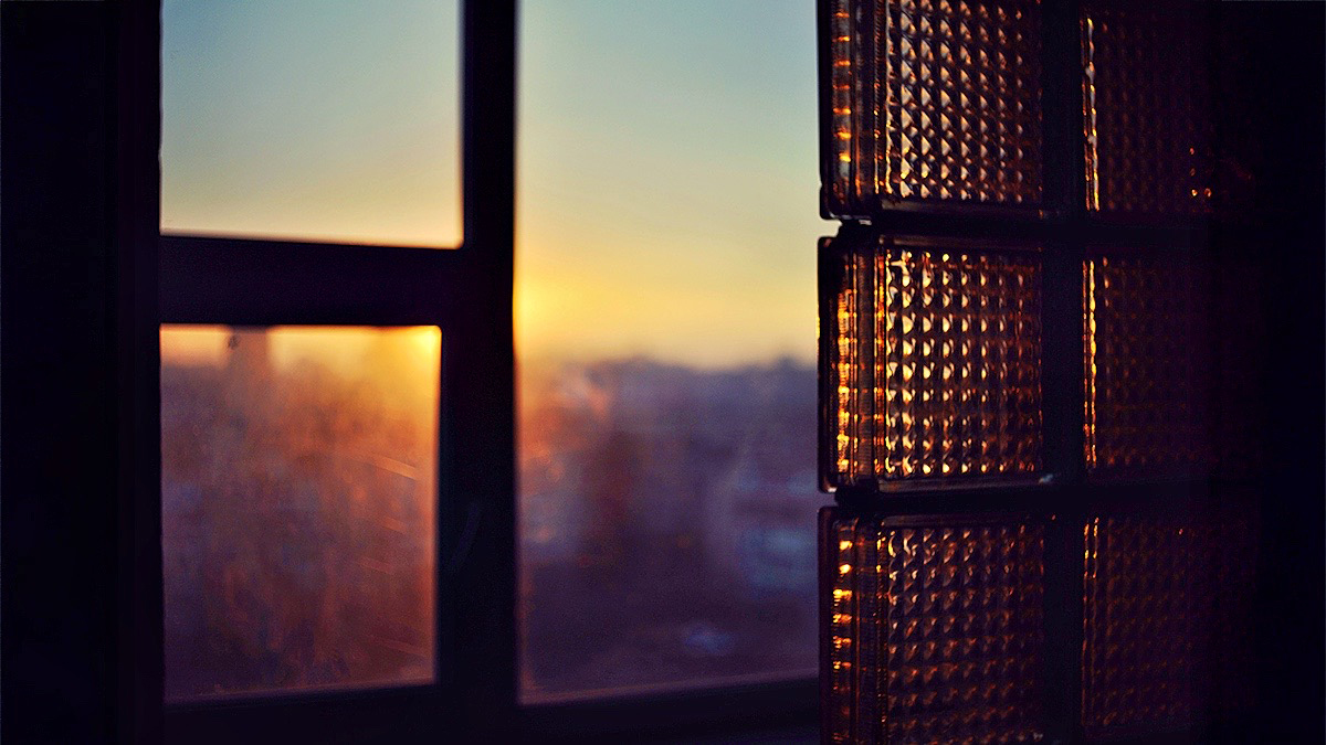 Daily Reflections 29 October 4 November 2025