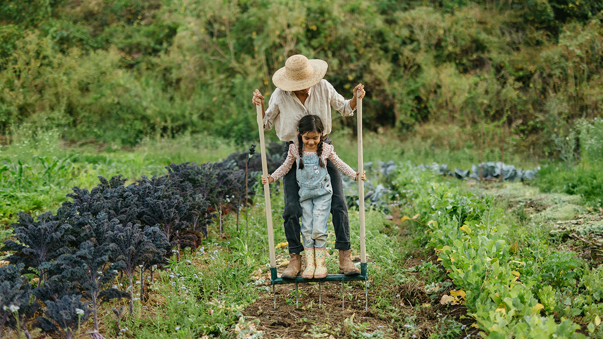 The ideology of “the land” and its quiet power over politics and culture