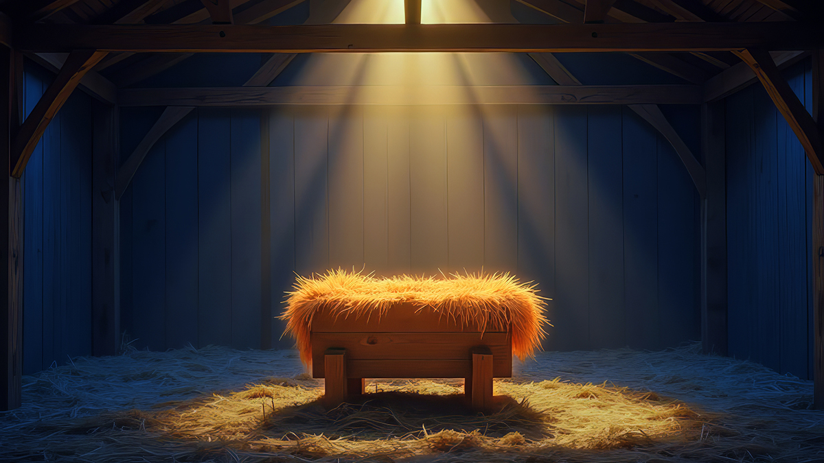 Daily reflections 17 – 31 December