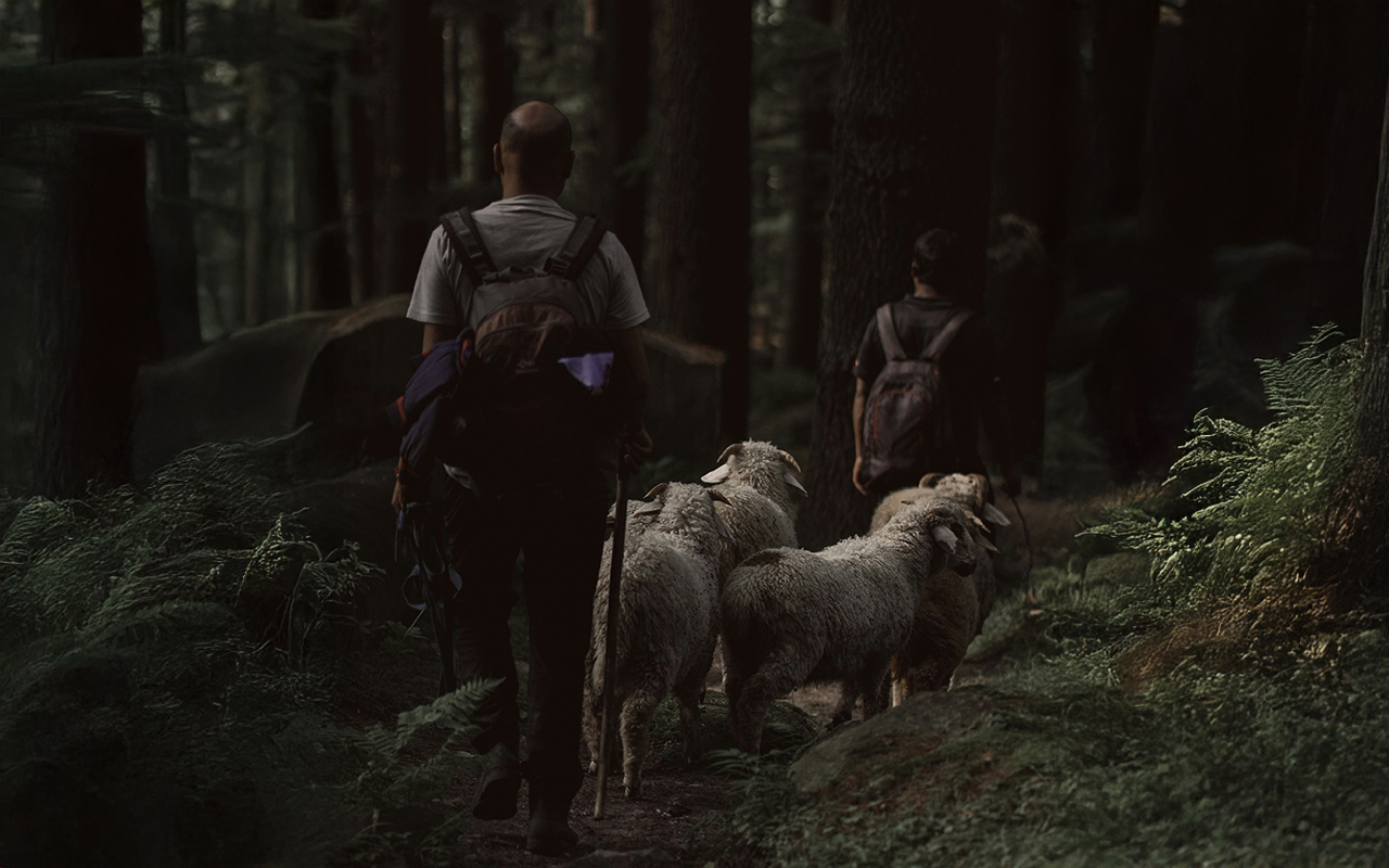 Reflections 25 – 31 March