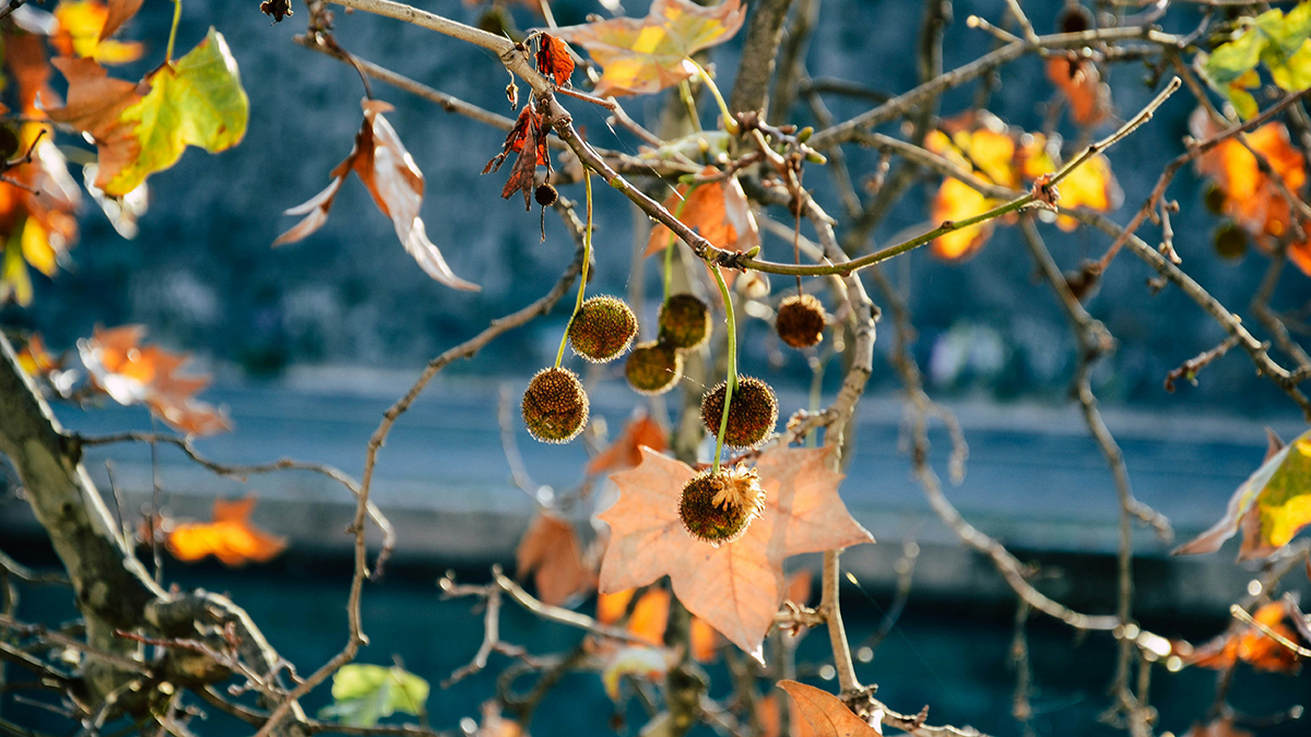 Marking the rhythms of human life and Christian spirituality